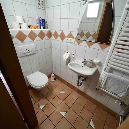 Gemuetliche 1-zimmer-wohnung * ペグニッツ